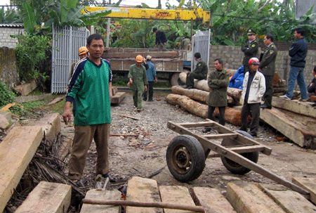 Phát hiện, bắt giữ hàng chục m3 gỗ lậu