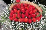 "Hoa ăn được" giá tiền triệu đắt khách ngày 8/3