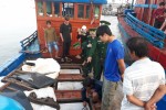 Tàu cá Quảng Ngãi bị tàu Trung Quốc đâm chìm ở Hoàng Sa: Các ngư dân gặp nạn giờ ra sao?