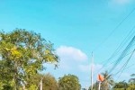 Án mạng 2 người chết chấn động Cần Giuộc, Long An