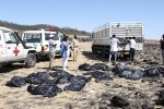 Ít nhất 19 nhân viên LHQ thiệt mạng trong tai nạn máy bay Ethiopia