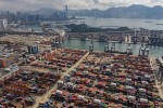 Hong Kong - thiên đường của tội phạm buôn bán động vật hoang dã