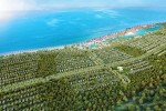 Doanh nghiệp Sài Gòn đổ đi buôn bất động sản biển
