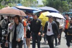 Sài Gòn sẽ có "mưa vàng" giải nhiệt vào đầu tháng 4