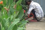 Cấp trên quyết liệt, bên dưới lơ là: Tiêm chích ma túy lại "tái xuất" nơi công cộng