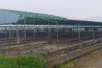 Bộ Công an yêu cầu định giá dự án nuôi bò lớn nhất Hà Tĩnh