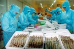 Mỹ công bố thuế bán phá giá với tôm Việt còn 0%
