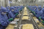 Thuế tôm về 0%, cổ phiếu thủy sản đua nhau "bùng nổ"