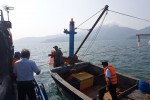 Tàu tận diệt hải sản liên tiếp "tấn công" bán đảo Sơn Trà