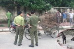 Chưa thống nhất được hình thức xử lý chủ đàn chó cắn chết bé trai 7 tuổi