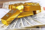 Ngày 17/4: Đại lý đồng loạt hạ giá vàng miếng SJC