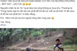 Thông tin hàng tấn dứa bị người dân vứt cho trâu, bò ăn là bịa đặt