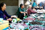 Hàng hoá đồng loạt tăng "ăn theo" giá xăng dầu