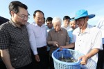 Bộ Ngoại giao nói về sức khỏe của Tổng bí thư, Chủ tịch nước