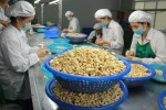 Giá điều giảm sốc, Trung Quốc tăng mạnh lượng nhập