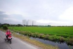 Đất nông nghiệp ở TP.HCM đang bị thoái hóa nặng