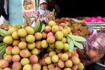 Hơn trăm nghìn một kg vải đầu mùa đi máy bay