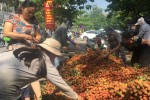 Giá vải thiều có thể tăng gấp 3 lần