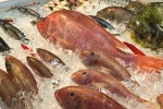 Trung Quốc miễn thuế cho thủy sản Việt vì dịch tả lợn châu Phi