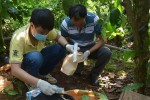 Liên tiếp xảy ra thảm án, do đâu?