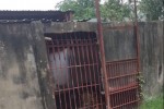 Người đàn ông bị hổ cắn đứt 2 cánh tay: Mời chủ khu sinh thái Thanh Cảnh làm việc
