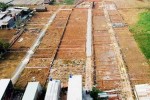 Cò đất lại lộng hành ở vùng ven TP.HCM