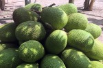 Mít Thái tại miền Tây rớt giá mạnh
