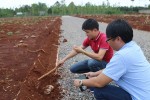 Cần xem xét trách nhiệm địa phương vì để Alibaba bán hàng vạn sản phẩm "ma"