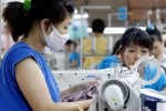 Báo chí nước ngoài đưa tin về Hiệp định thương mại tự do Việt Nam - EU