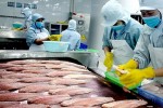 Tận dụng EVFTA để ngành xuất khẩu cá tra bứt phá