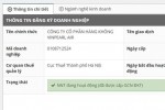 Xuất hiện pháp nhân mang tên Vinpearl Air, kinh doanh hàng không
