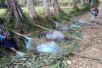 Thảm sát bộ lạc ở Papua New Guinea, 15 phụ nữ và trẻ bị phân xác