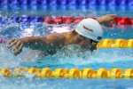 Giải bơi thế giới rúng động vụ kình ngư Hungary bị bắt tại Hàn Quốc