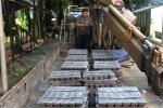 Bắt nghi phạm trộm container chứa hàng hóa tiền tỷ ở Cát Lái