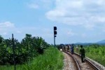 Lái tàu rơi xuống đất tử vong trong lúc tàu hỏa đang chạy