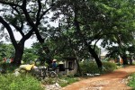 TP.HCM: Nghĩa trang, bãi rác được 'hô biến' thành... khu đô thị hạng sang