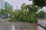 Bão số 3 quét qua, lũ cuồn cuộn đổ về sông Ka Long ở Quảng Ninh