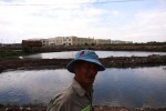 Dự án Khu công nghệ cao TP.HCM: Kế hoạch hỗ trợ, bồi thường ra sao?