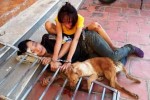 Rủ nhau đi trộm chó, cặp tình nhân ở Thanh Hóa bị dân đánh hội đồng rồi xích cùng chó
