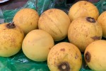 Quả thị đắt "như tôm tươi" trong ngày rằm tháng 7