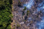 The New York Times: Phân tích ảnh vệ tinh đã chỉ ra chính xác thủ phạm gây cháy rừng thảm họa tại Amazon