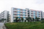 Nỗi niềm giấc mơ an cư: Cần phát triển căn hộ “vừa túi tiền”