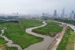 Thủ Thiêm từ vùng đầm lầy đến thị trường địa ốc sôi động nhất TP.HCM