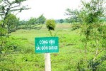 Điều chỉnh Công viên Safari và 10 phân khu dọc sông Sài Gòn