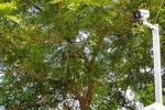 Lắp camera nhà 16 lãnh đạo Sóc Trăng: Chi 1 tỷ đồng có đúng quy định?