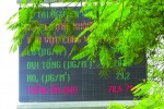 Sài Gòn mịt mù bụi độc, quan trắc lại rùa bò