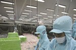Việt Nam ở đâu trong xu hướng giảm giờ làm trên thế giới?