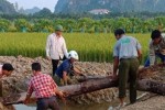 Chuyên gia nói gì về 2 cọc gỗ nghi là cọc Bạch Đằng ở Hải Phòng?