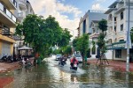 TP.HCM: Đắp tạm đê bao để chống triều