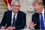Apple đang vun đắp quan hệ với Tổng thống Mỹ